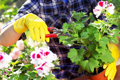 Professional gardener working in a Tooting garden installing decking