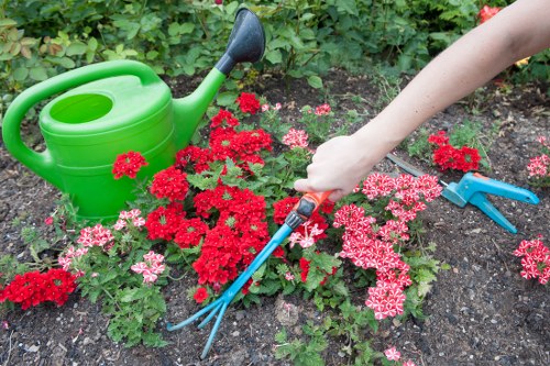 Safety tree removal services in Tooting