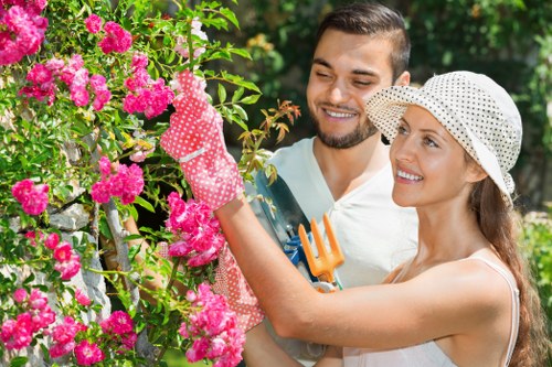 Professional garden clearance service in Tooting