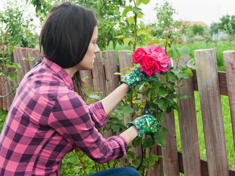 Garden planning and design in Tooting
