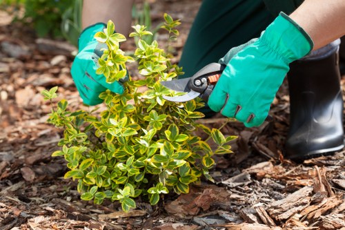 Company logo over garden tools representing commitment to ethical labour