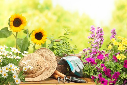 Pest management in a Tooting garden