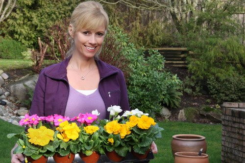 Professional landscapers designing an outdoor space in Tooting