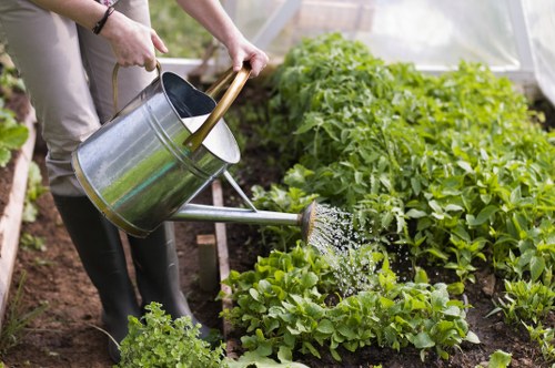 Lush green lawn maintained by experts