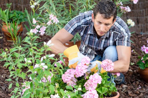 Gardeners working on soil and turf removal with a van
