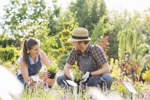 Variety of plants suitable for Tooting gardens