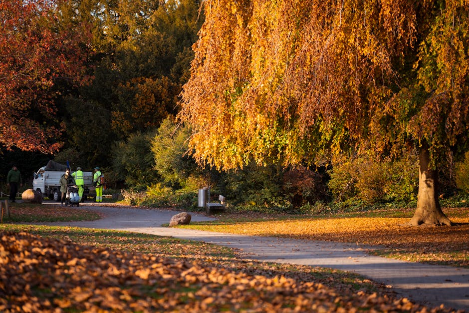 A park scene during autumn with trees displaying vibrant orange and yellow foliage. A wide, paved path curves through the landscape, partially covered with fallen leaves. To the right, a large tree wi