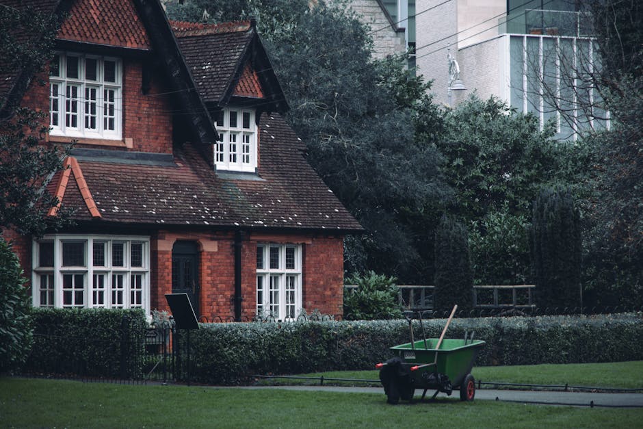 An aerial view of a residential area featuring multiple small back gardens separated by wooden fences, each with a variety of plants, trees, and lawn areas. One garden has a neatly mowed lawn bordered