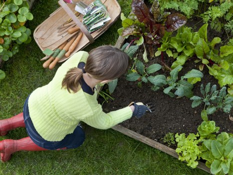 Vibrant outdoor space maintained by Tooting gardeners